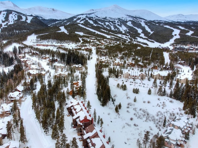 840 Four Oclock Rd Unit A1D, Breckenridge, CO 80424 - mountain view