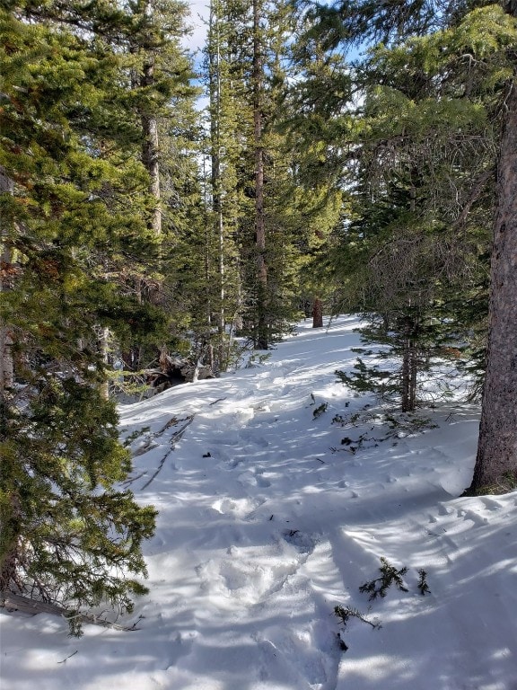 586 El Lobo Ln, Fairplay, CO 80440 - photo 3
