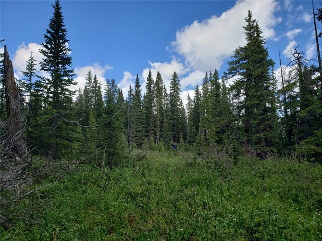586 El Lobo Ln, Fairplay, CO 80440 - photo 1