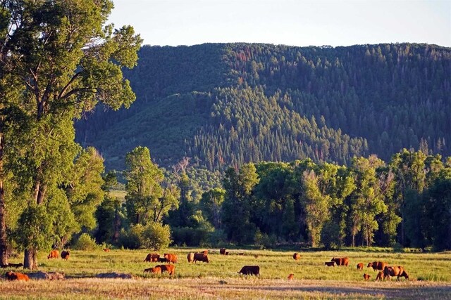 26185 US Highway 40, Steamboat Springs, CO 80487