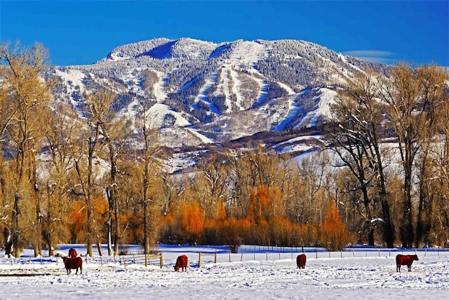 26185 US Highway 40, Steamboat Springs, CO 80487