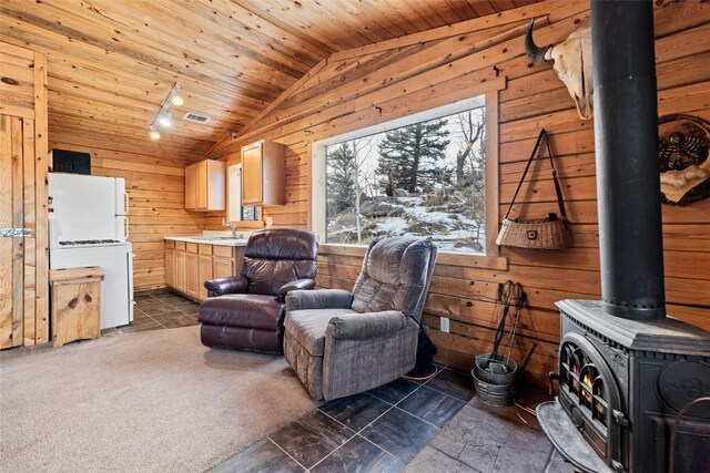 225 Deadwood Dr, Jefferson, CO 80456 - photo 11