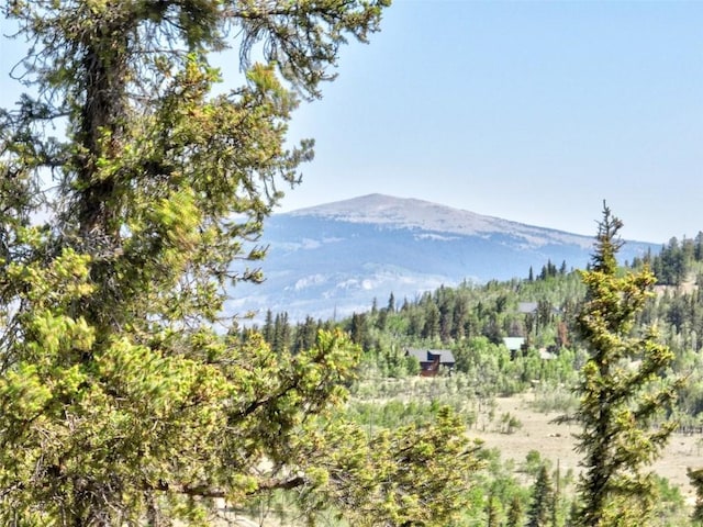 225 Deadwood Dr, Jefferson, CO 80456 - photo 26