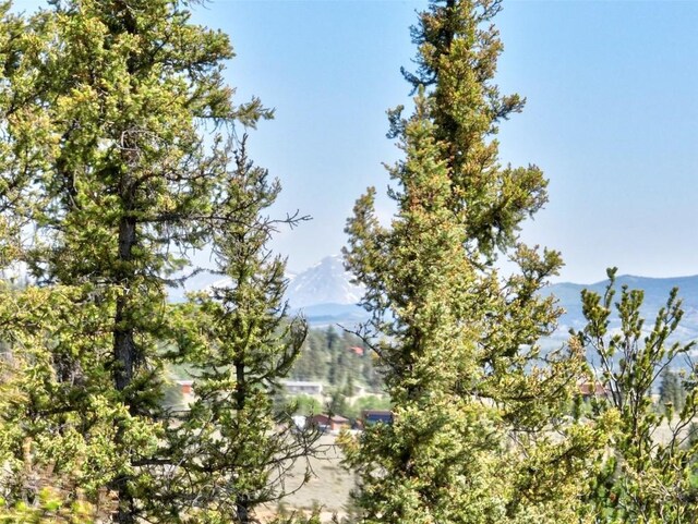 225 Deadwood Dr, Jefferson, CO 80456 - photo 25