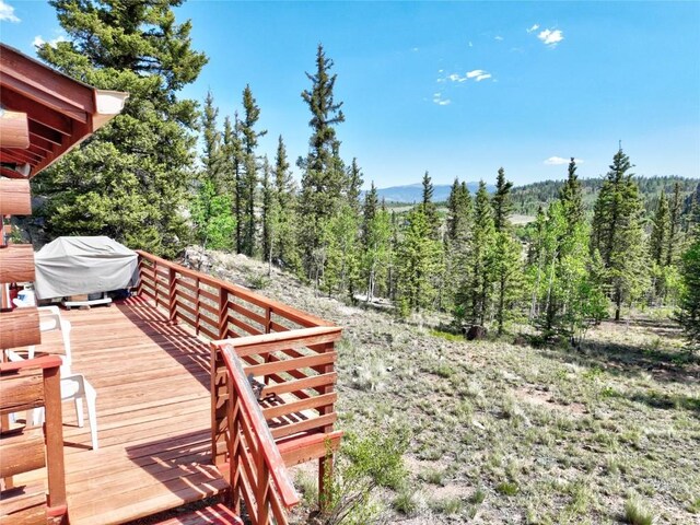 225 Deadwood Dr, Jefferson, CO 80456 - photo 9