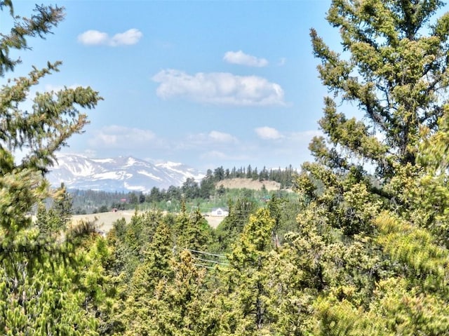 225 Deadwood Dr, Jefferson, CO 80456 - photo 39