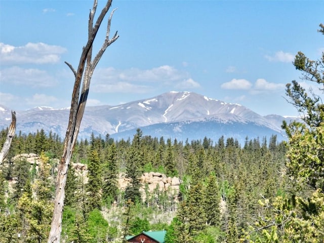225 Deadwood Dr, Jefferson, CO 80456 - photo 40