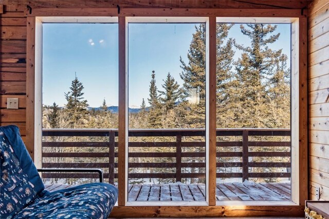 225 Deadwood Dr, Jefferson, CO 80456 - photo 5