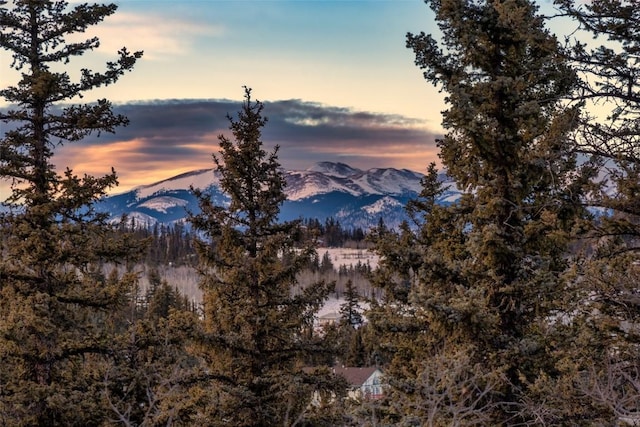 225 Deadwood Dr, Jefferson, CO 80456 - photo 36