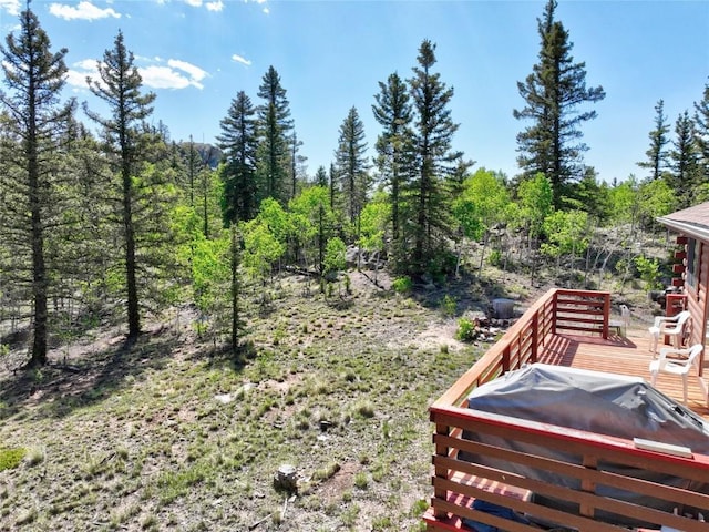 225 Deadwood Dr, Jefferson, CO 80456 - photo 18