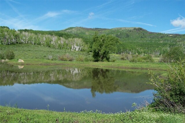 56025 Hannahs Way, Clark, CO 80428
