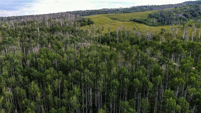 56025 Hannahs Way, Clark, CO 80428