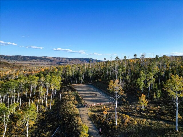 56025 Hannahs Way, Clark, CO 80428