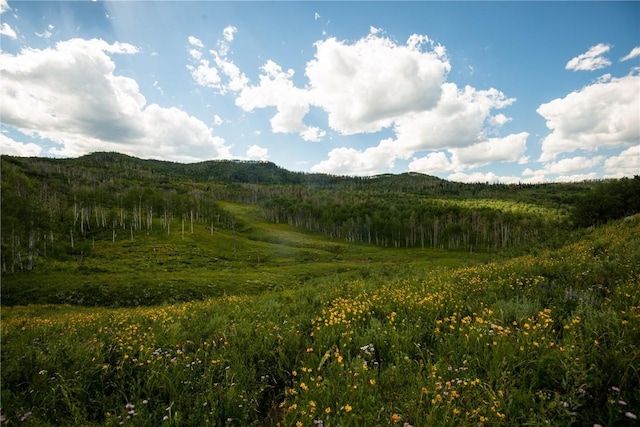56025 Hannahs Way, Clark, CO 80428