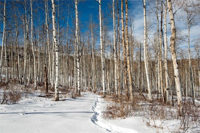 56025 Hannahs Way, Clark, CO 80428