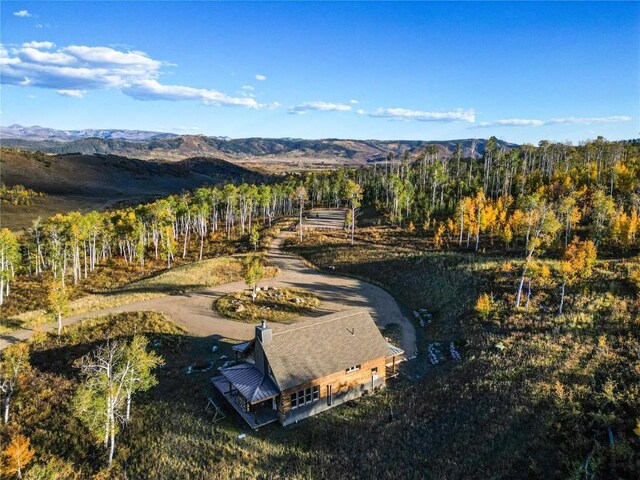 56025 Hannahs Way, Clark, CO 80428