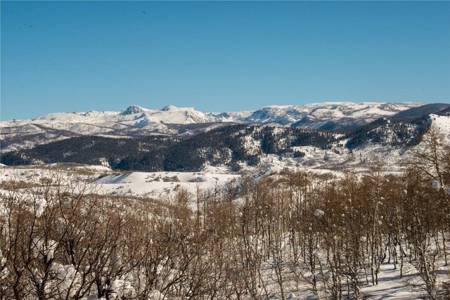 56025 Hannahs Way, Clark, CO 80428
