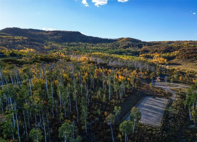 56025 Hannahs Way, Clark, CO 80428