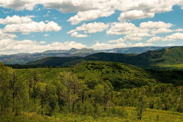 56025 Hannahs Way, Clark, CO 80428
