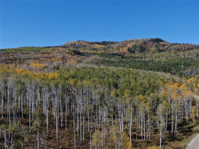 56025 Hannahs Way, Clark, CO 80428