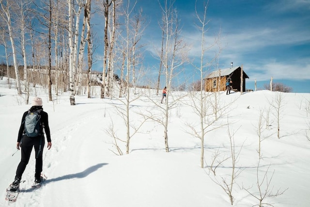 56025 Hannahs Way, Clark, CO 80428