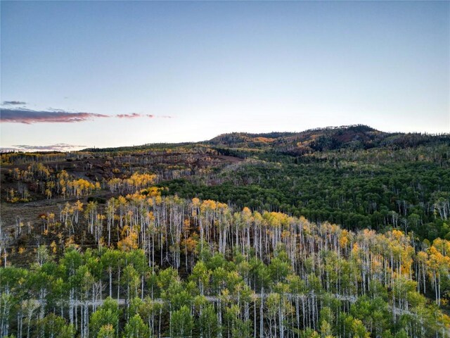 56025 Hannahs Way, Clark, CO 80428