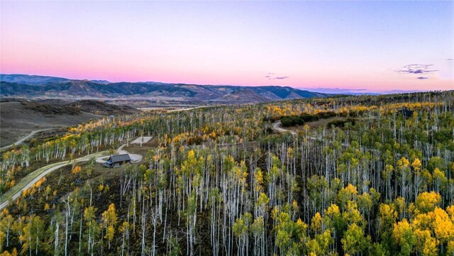 56025 Hannahs Way, Clark, CO 80428