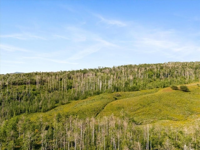 55966 Hannahs Way, Clark, CO 80428 - photo 10