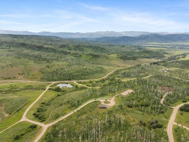55966 Hannahs Way, Clark, CO 80428 - photo 16