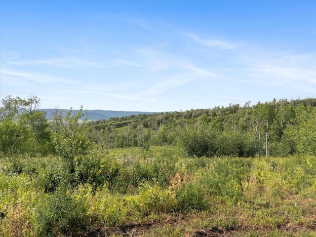 55966 Hannahs Way, Clark, CO 80428 - photo 5