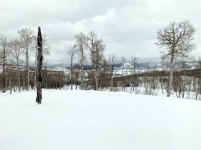 55966 Hannahs Way, Clark, CO 80428 - photo 41