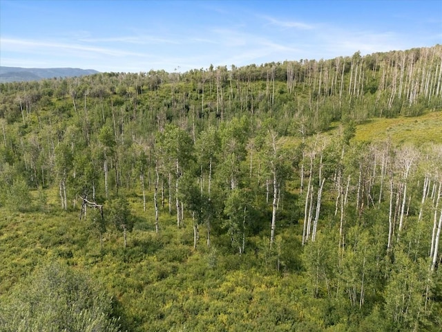 55966 Hannahs Way, Clark, CO 80428 - photo 6