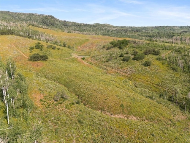 55966 Hannahs Way, Clark, CO 80428 - photo 7