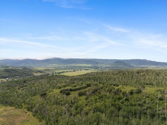 55966 Hannahs Way, Clark, CO 80428 - photo 11