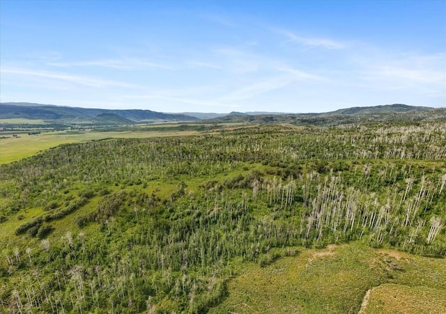 55966 Hannahs Way, Clark, CO 80428 - photo 3