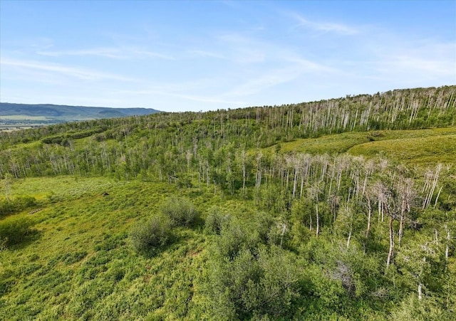 55966 Hannahs Way, Clark, CO 80428 - photo 4