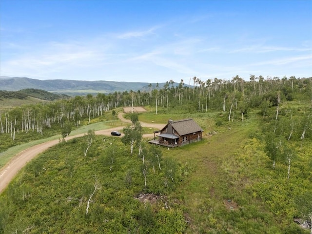 55966 Hannahs Way, Clark, CO 80428 - photo 32