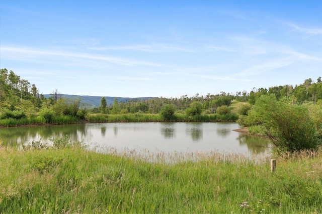 55966 Hannahs Way, Clark, CO 80428 - photo 31