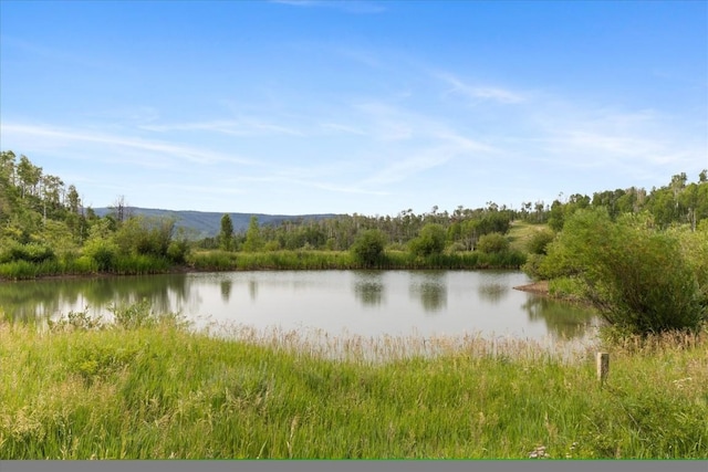 55966 Hannahs Way, Clark, CO 80428 - photo 34