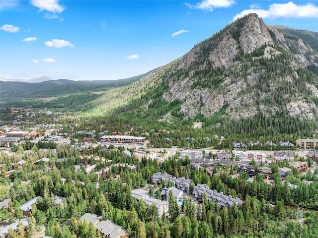 203 Creekside Dr Unit 201, Frisco, CO 80443 - view of mountain background with a heavily wooded area