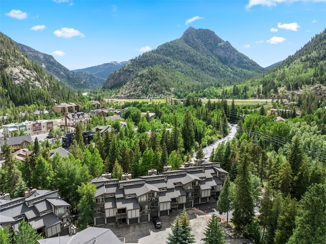 203 Creekside Dr Unit 201, Frisco, CO 80443 - view of mountain background featuring a heavily wooded area and nearby suburban area