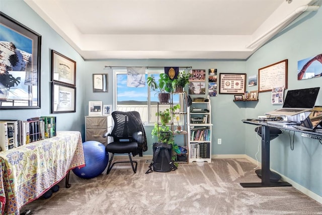 471 Enterprise St Unit C, Hayden, CO 81639 - office area with carpet and baseboards