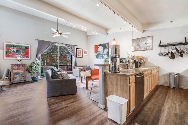 471 Enterprise St Unit C, Hayden, CO 81639 - bar featuring track lighting, dark wood-type flooring, stainless steel dishwasher, a ceiling fan, and hanging light fixtures