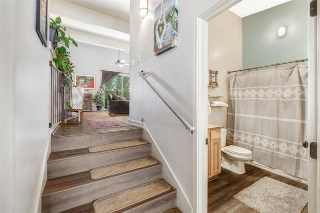 471 Enterprise St Unit C, Hayden, CO 81639 - staircase featuring wood finished floors and ceiling fan