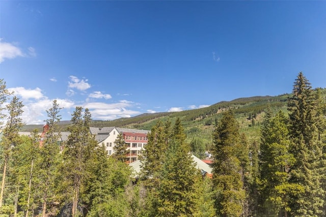 75 Hunki Dori Ct Unit W403, Keystone, CO 80435 - property view of mountains with a view of trees