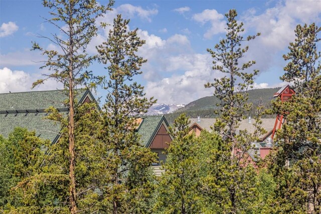 75 Hunki Dori Ct Unit W403, Keystone, CO 80435 - photo 9