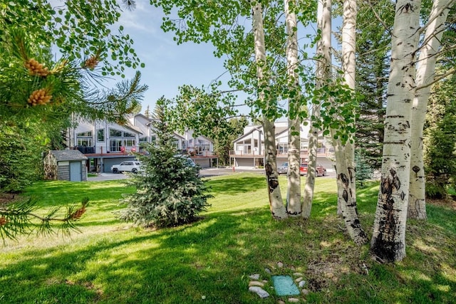 1921 Walton Creek Rd Unit 4, Steamboat Springs, CO 80487 - view of green lawn