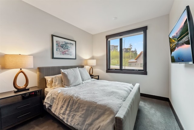 14 E Baron Way, Silverthorne, CO 80498 - bedroom featuring dark carpet and baseboards
