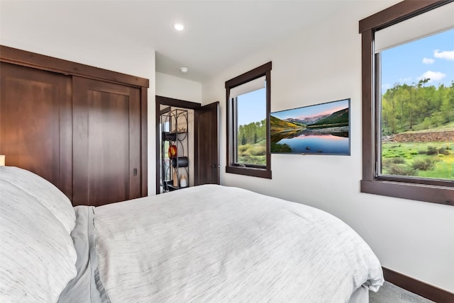 14 E Baron Way, Silverthorne, CO 80498 - bedroom with multiple windows, carpet flooring, recessed lighting, and baseboards