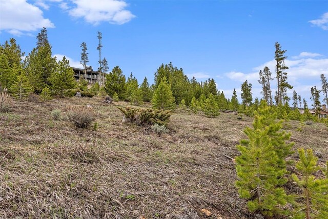 650 Shoshoni Ln, Granby, CO 80446 - photo 13